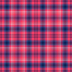 Red and blue plaid seamless pattern. Vector background eps10