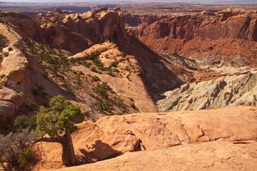 Upheaval Dome in Canyonlands NP in Utah in the USA   © kstipek