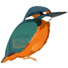 Common kingfisher cartoon bird