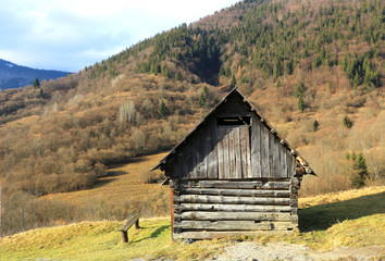wooden house on mountain meadow