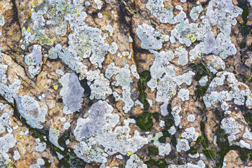 Surfaces of old stones 