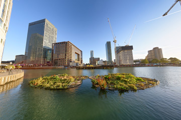 Canary Wharf at sunset, London. Fisheye lens view