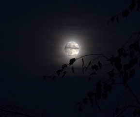 The beautiful full moon