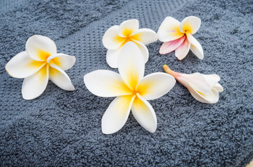 Fototapeta na wymiar plumeria flower on towel close-up