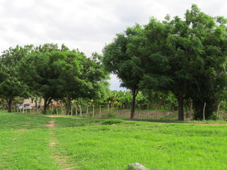 paisagem lagoão