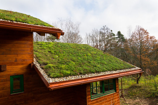 Wooden House With Extensive Green Living Roof Covered With Vegetation