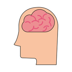 Human brain on head icon vector illustration graphic design