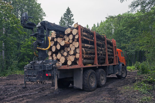 a truck loaded with logs in the forest