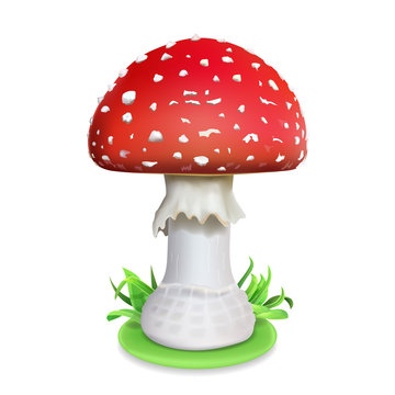 Red fly agaric mushroom. Realistic icon illustration