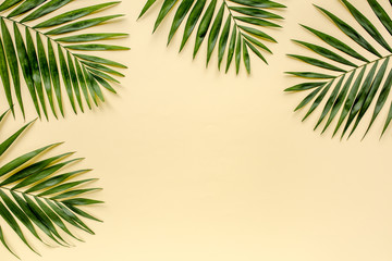 Fototapeta na wymiar Tropical green palm leaf branches isolated on yellow background. the apartment lay, top view