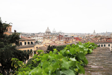 Fototapeta premium High view of the city in spring, Rome, Italy
