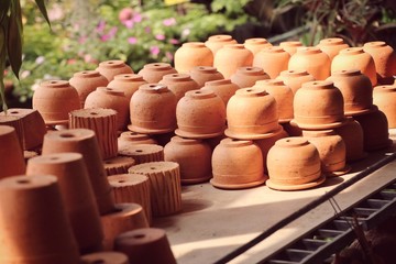 Potted flower plant shop