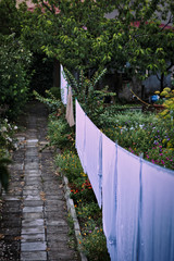 Laundry is dried on a rope in a country garden.