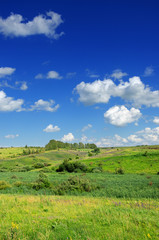 Sunny summer landscape with green hills and growing trees.Blue sky with beautiful clouds over the fields and meadows.