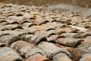 Old red-brick roof tiles, sun-drenched