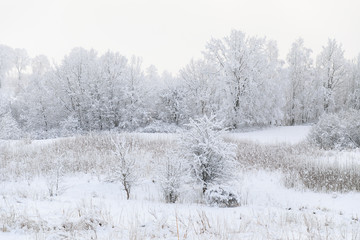 Countryside winter landscape