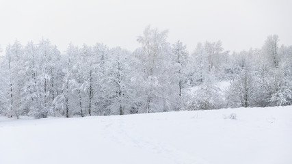 Fototapeta na wymiar Countryside winter landscape