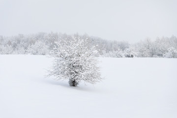Countryside winter landscape