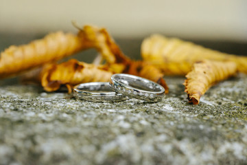 wedding rings close up macro