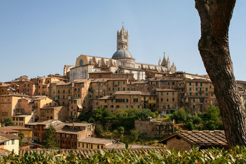 Summer. Italy. Sienna. View of the city