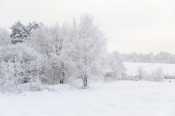 Fototapeta na wymiar Countryside winter landscape