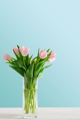 Fototapeta premium Pink tulips bouquet on blue background