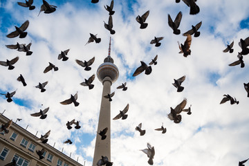 December 29, 2017 Berlin Germany - Famous TV tower at Alexanderplatz and flying doves at dramatic...