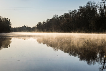 Morning Mist