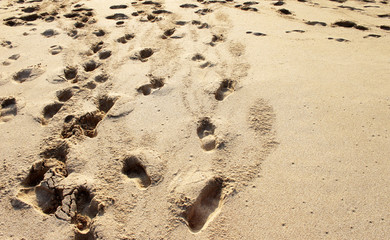 Fototapeta na wymiar Footprints on the sand at sunset