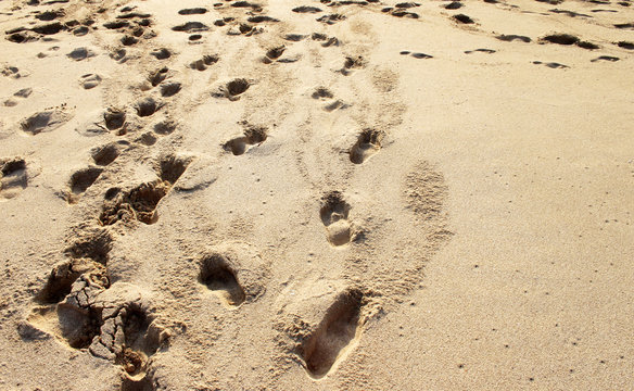Footprints on the sand at sunset