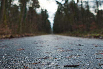 Road to City