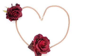 Love. Red roses and gold chain on a white background. Flowers and gold. Close-up. Background
