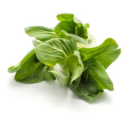 Bok choy (Pak choi) fresh green flowerlike leaves isolated on white background.
