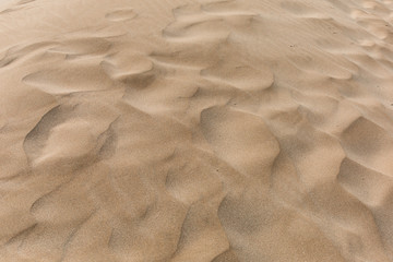 Detalle de las ondas que hace el viento en la arena de las dunas de arena del Delta del Ebro de Cataluña