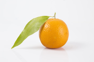 fresh fruit collection oranges isolated on white background.
