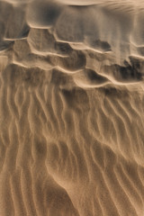 Dunas de arena del desierto del Delta del Ebro en Cataluña, España