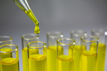 Glass test tubes with laboratory yellow liquids, drops from a pipette. Science and laboratory research in the field of medicine. copy space, close up, selective focus , blurred background