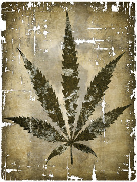 hanfblatt