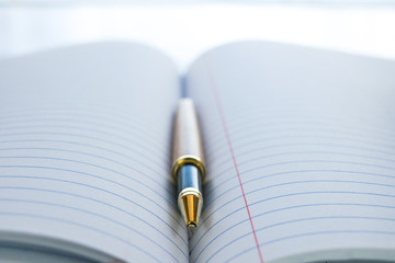 Open pen lying in a journal