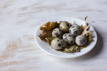 Quail eggs in a coffee cup and a bird nest with leaves on a white wooden background