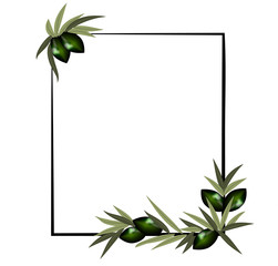 vector frame with olive branch..