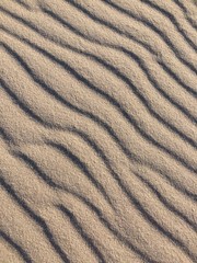 Beach Sand Texture