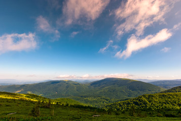 beautiful summer landscape in mountains. forested grassy slopes under the deep blue sky with some clouds
