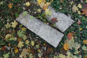 Two concrete blocks on the glade covered with Glechoma hederacea and fallen maple leaves