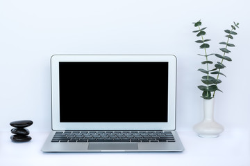 Fototapeta premium Modern Workspace with Laptop, Eucalyptus in Vase, Stacked Worry Stones