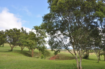 Ebene der Tonkr&uuml;ge