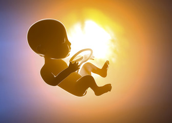 Donna incinta e bambino nell’utero. Sezione della pancia e crescita del feto - obrazy, fototapety, plakaty