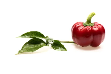 Gardinen Chilischoten Bulgarian pepper with green leaves in close up.  © be free