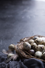 Quail eggs in the nest