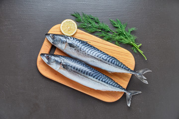 Fresh raw mackerel with lemon and dill on the board. Black background